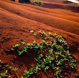 《倾听画语》开发团队所打造《未晓星程》 将于2024年春推出NS版